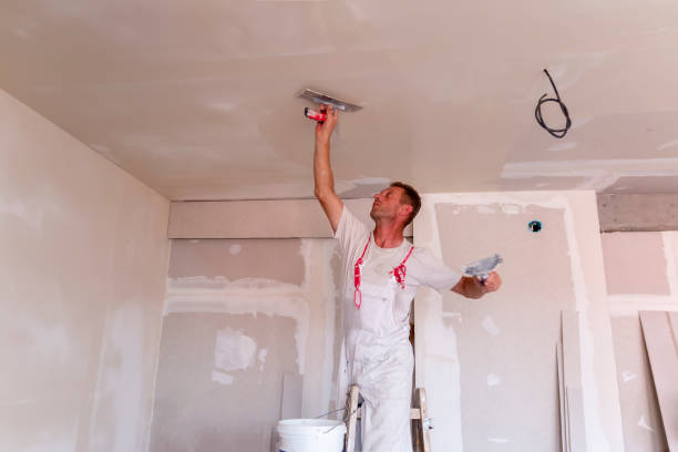 Best Water-Damaged Drywall Repair  in Ellington, MO