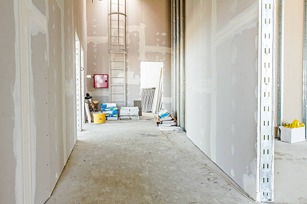 Best Drywall Sanding and Smoothing  in Ellington, MO